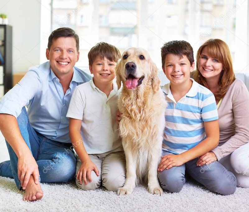 family-with-dog-carpet