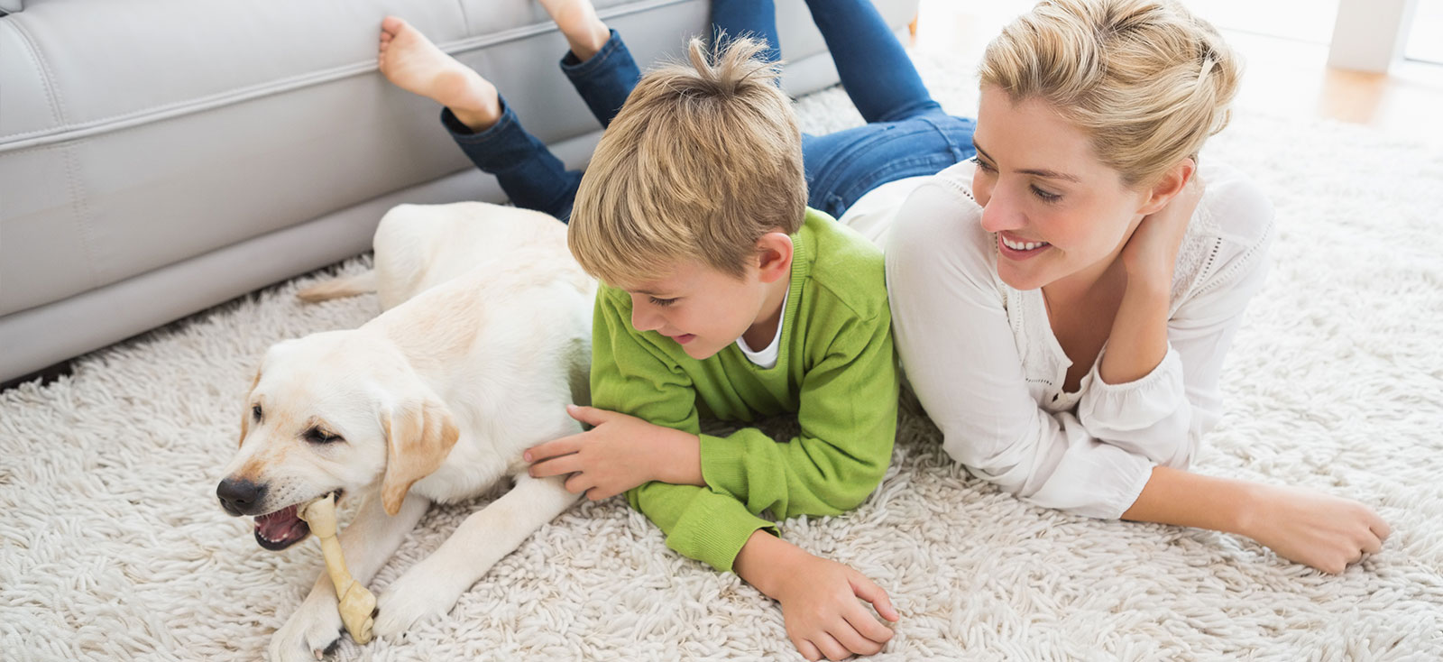 The Top 5 Benefits of Professional Carpet Cleaning: Why You Should Invest in Expert Care?